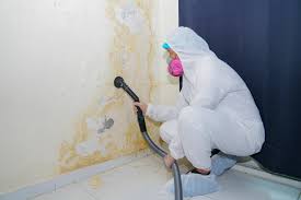 Why You Should Choose Our Mold Remediation Services in Crockett, TX